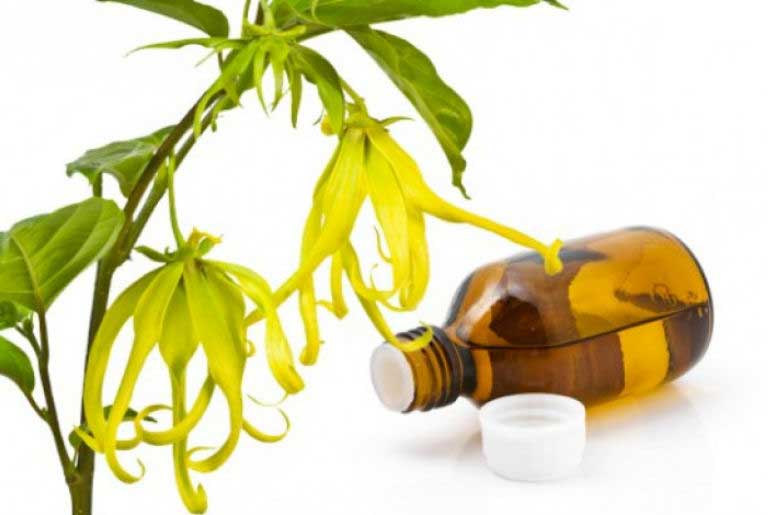 Ylang-Ylang essential oil
