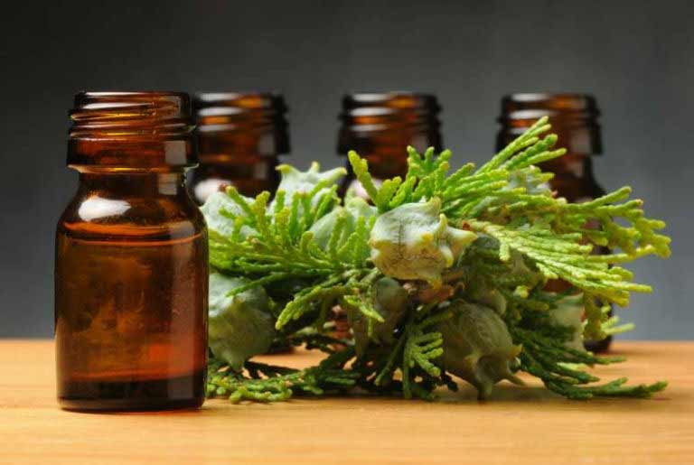cypress essential oil